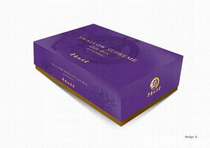 信號工坊 全方位視覺設計服務，助力品牌脫穎而出